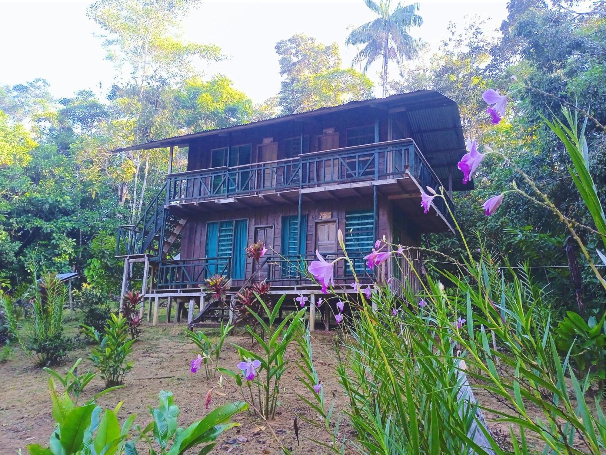 Cabañas eco lógicas mu'ü Loreto Mocagua Exterior foto